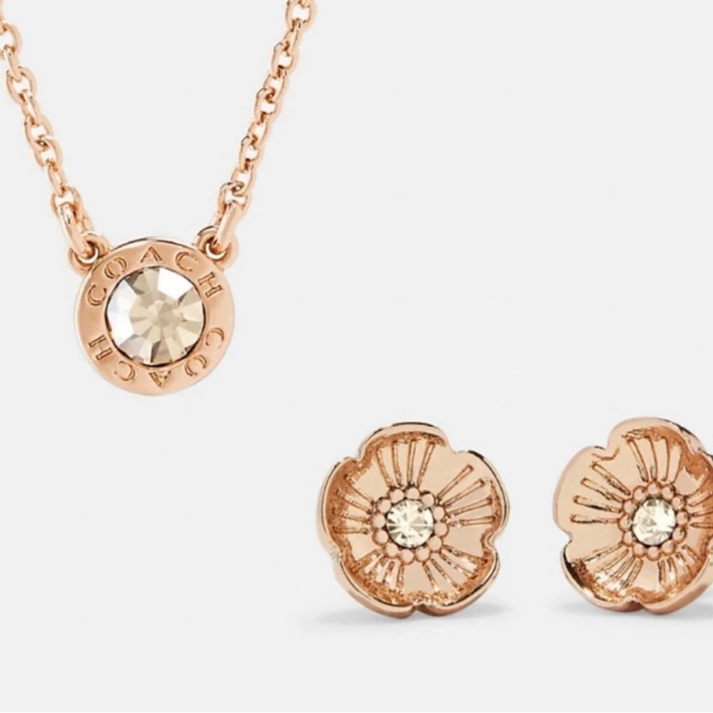 Coach Rose Gold necklace and earring set